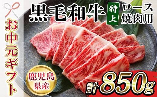 
                  【お中元】鹿児島県産 黒毛和牛 特上ロース 850g 国産  鹿児島 尾崎牧場 冷凍 和牛 ロース 焼肉 にも おすすめ!【00-030-32-R8OC】
                