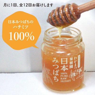 ふるさと納税 糸島市 【全12回定期便】わかまつ果樹園の日本蜜蜂 はちみつ2コセット糸島市 わかまつ農園 [AHB037] |  | 01