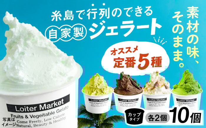 
            行列のできるアイスクリーム屋 ジェラート10個（定番5種×各2個）アイスクリーム アイス 食べ比べ ギフト スイーツ プレゼント 糸島 / LoiterMarket ロイターマーケット [AGD001]
          