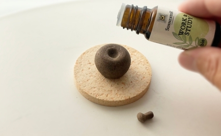 ディフューザー AROMA Stone（りんご型） アロマストーン 精油 アロマオイル インテリア コーヒーかす みかんの皮 にんじん皮 えごま搾りかす たまねぎ皮 茅ヶ崎市 神奈川県 みかん皮
