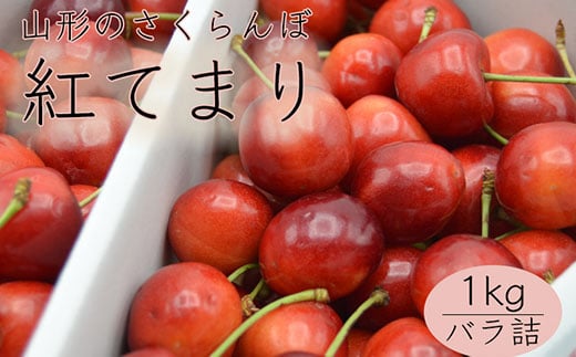 
            山形のさくらんぼ 紅てまり 1kg Lサイズ以上 バラ詰 【令和7年産先行予約】FS24-560くだもの 果物 フルーツ 山形 山形県 山形市 2025年産
          