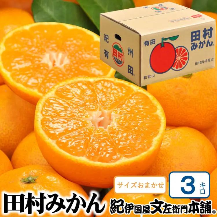田村みかん 特選ギフト品 3kg サイズおまかせ 赤秀/紀州和歌山有田郡湯浅町田村地区産 ◆2026年11月下旬～2027年1月中旬頃に順次発送予定(お届け日指定不可)　紀伊国屋文左衛門本舗【kstb308B】