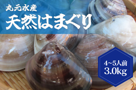 丸元水産 桑名産蛤 （ハマグリ） 2.2kg はまぐり 魚介 貝 魚貝 活はまぐり 焼きはま 海鮮 網焼き 酒蒸し お吸い物 パエリア パスタ 023-0004