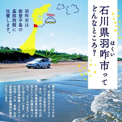 ふるさと納税 羽咋市 【復興支援】あんばたどら焼き 個包装 15個 |  | 03
