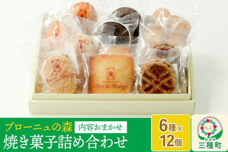 内容おまかせ！焼き菓子詰め合わせ 12個入り