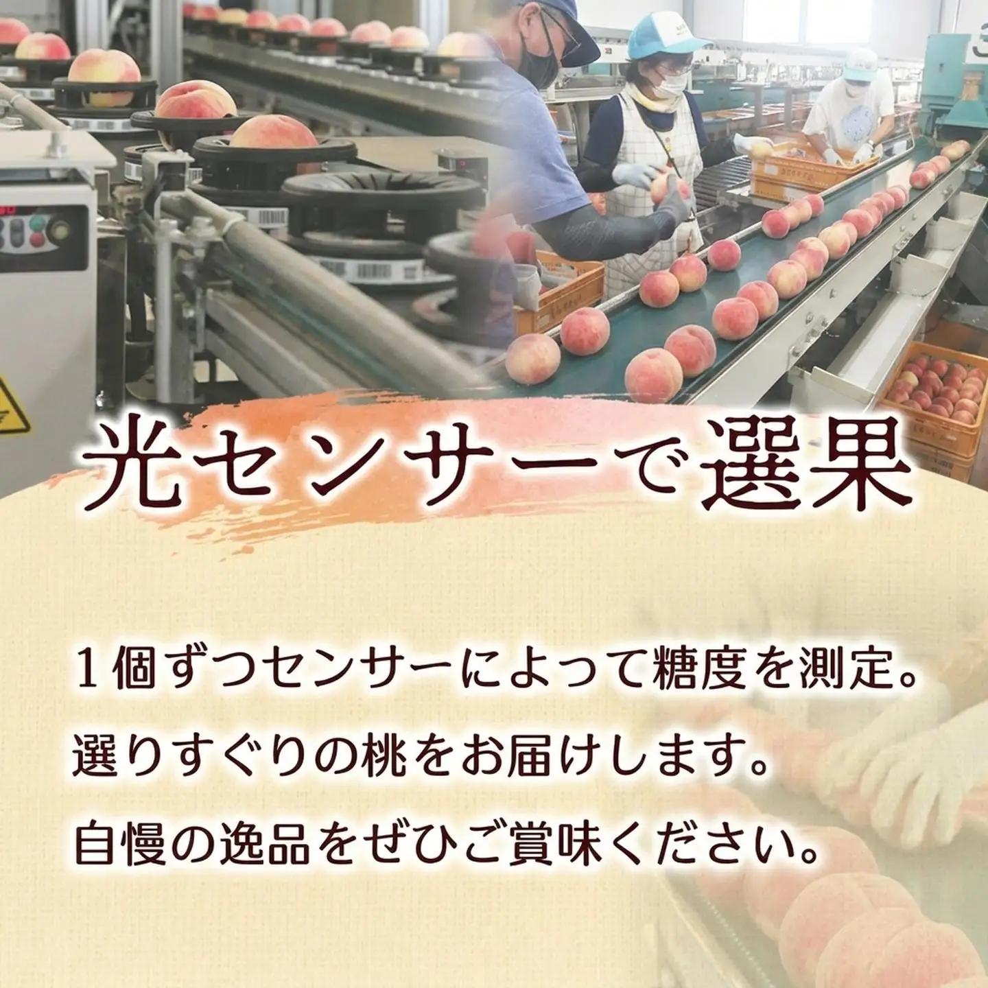 もも あかつき 秀品 約5㎏ 桃 【2027発送分】