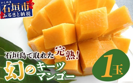 
                  《2026年7月下旬～8月下旬発送》【先行予約】最高糖度23度！？ 完熟！7Lサイズ 幻のキーツマンゴー【 沖縄 石垣島 石垣 八重山 マンゴーキーツマンゴー 期間限定 数量限定 沖縄県 石垣島産 完熟 】TF-3-1_R8
                