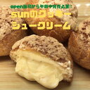 【ふるさと納税】ケーキ屋SUNのクッキーシュークリーム6個_AI-161