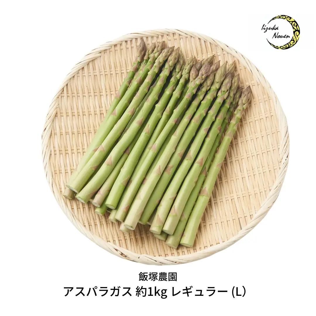 アスパラガス レギュラー 約1kg 令和8年産 アスパラガス 飯塚農園 