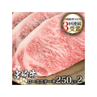 受賞歴多数!! 宮崎牛 ロースステーキ 250g×2【合計500g】