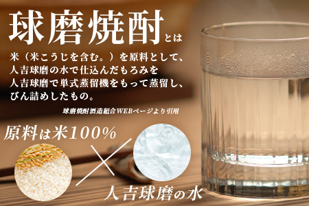 【 年内お届け 】メガボトル4L×4本！ 球磨焼酎【米一石】エコペット 25度 計16L 【2024年12月18日～28日発送】 米焼酎 蔵元直送 040-0587-R612