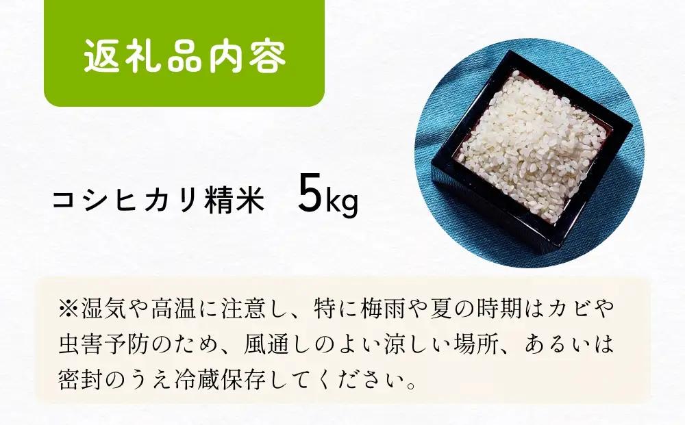 【交響するお米】［精米］自然栽培 コシヒカリ 5kg（富山県 氷見市 / 令和7年産） |   移住農家が里山から直送 米 白米 こしひかり