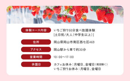 【いちご狩り】50分食べ放題体験　土日祝/大人（中学生以上）【いちご 苺 苺狩り フルーツ 果物 体験券 岡山市 岡山県 おすすめ 人気 食べ放題 岡山いちご狩り】