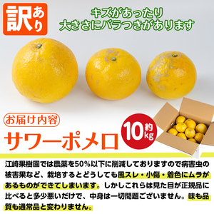 i917 ＜2026年3月上旬～5月下旬の間に発送予定＞＜訳あり＞サワーポメロ(約10kg) 柑橘 サワーポメロ 鹿児島県 国産 果物 フルーツ みかん 文旦 ボンタン 訳あり 【江崎果樹園】