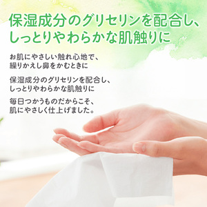 【2ヵ月連続お届け・計60箱】エリエール 北海道 しっとりティシュー なまらたっぷり 240組3箱 10パック ふるさと納税限定デザイン ボックスティシュー 箱ティッシュ ペーパー 備蓄品 花粉 保湿