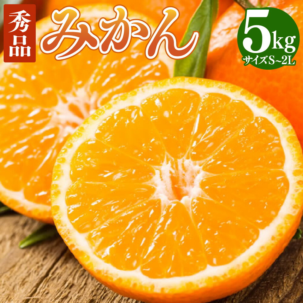 【ふるさと納税】＜選べる内容量＞ みかん 秀品 5kg / 10kg S～2L ミカン 蜜柑 極早生 極早生みかん 柑橘 かんきつ フルーツ くだもの 果物 果実 デザート 露地栽培 おやつ 冷蔵 熊本県産 国産 熊本県 熊本市 送料無料 【2026年10月上旬～2027年2月下旬発送予定】