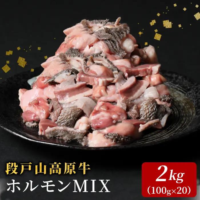 国産牛 段戸山高原牛 ホルモンMIX 2kg もつ鍋 焼肉用 ホルモン ホルモン焼き もつ鍋 焼肉 BBQ キャンプ 肉 鉄板焼き -192