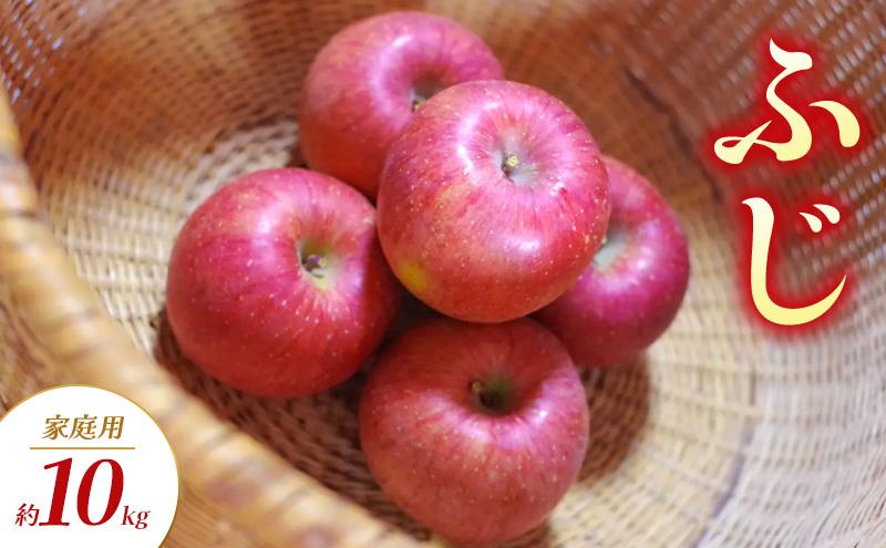 ふじ 家庭用 約10kg りんご リンゴ 林檎 果物 フルーツ 長野県 長野 山ノ内町