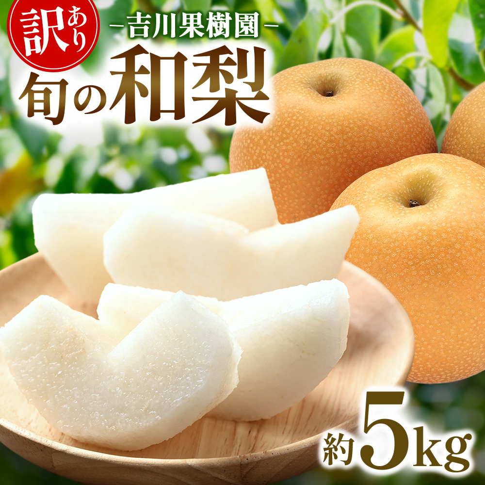 梨 訳あり 約 5kg 5キロ 和梨 なし ナシ 幸水 豊水 新高 フルーツ 果物 旬の果物 お取り寄せ グルメ 美味しい 甘い 人気 おすすめ 吉川果樹園 宮城県 角田市 【先行予約（2026年発送分）】