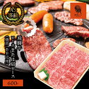 【ふるさと納税】AJ-3 【飛騨牛】ロースまたは肩ロース600g (焼肉・BBQ用)