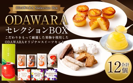 
ODAWARAセレクションBOX ゼリー×3 ケーキ×5 焼き菓子 4種
