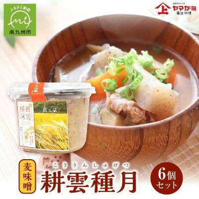 ふるさと納税 南九州市 ヤマガミ「耕雲種月」味噌6個セット