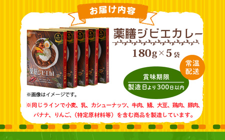 薬膳ジビエカレー 5袋セット 【 年内発送 カレー レトルトカレー ジビエカレー 薬膳カレー ご当地カレー  鹿肉 肉 高タンパク 低カロリー 鉄分豊富 簡易 包装 】 [m55-a008]