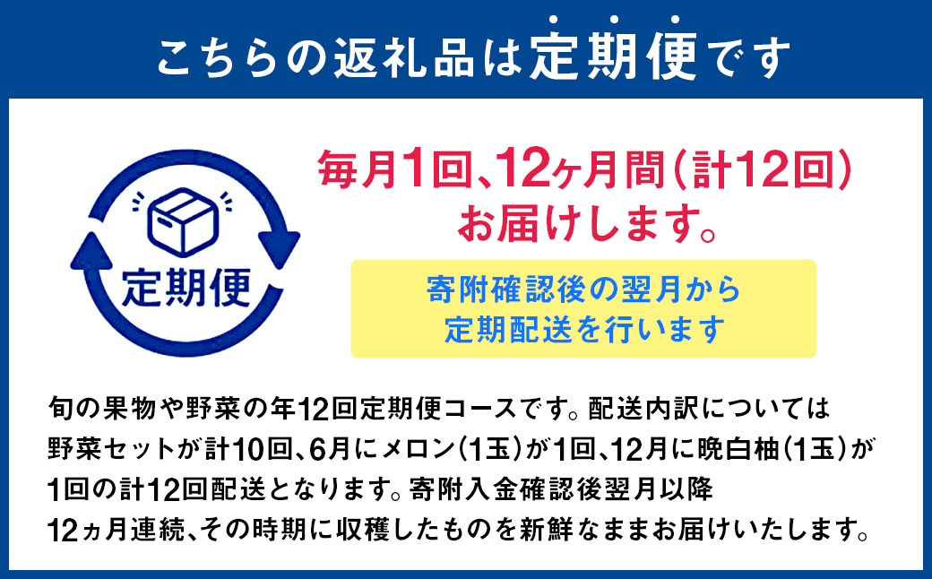 【12か月連続定期便】季節の果物と野菜セット 16品目