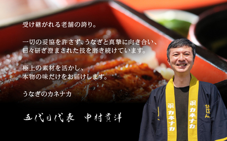 宮崎県産 国産うなぎ蒲焼 1尾 うなぎ