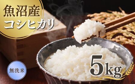 【先行予約】令和7年産新米 魚沼産コシヒカリ 無洗米 5kg 吉兆楽 新米コシヒカリ 新米コシヒカリ 新米コシヒカリ