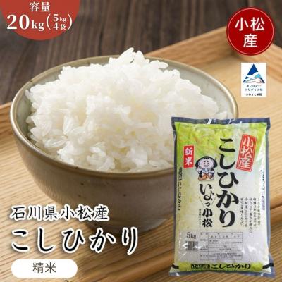 ふるさと納税 小松市 【先行予約】 令和8年産 小松市産 こしひかり 精米 20kg(5kg×4袋)