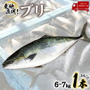 【ふるさと納税】 産地直送！ 超特大！海陽町よりブリまるごと1本をお届け！ ぶり 鰤 海鮮 新鮮 魚 国産 ぶりしゃぶ 【2025年3月中旬～4月にお届け／北海道・東北・沖縄・離島不可】