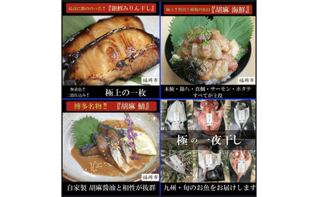 ワイズ商店の一夜干し旬魚４種とおすすめ商品詰め合わせBセット
