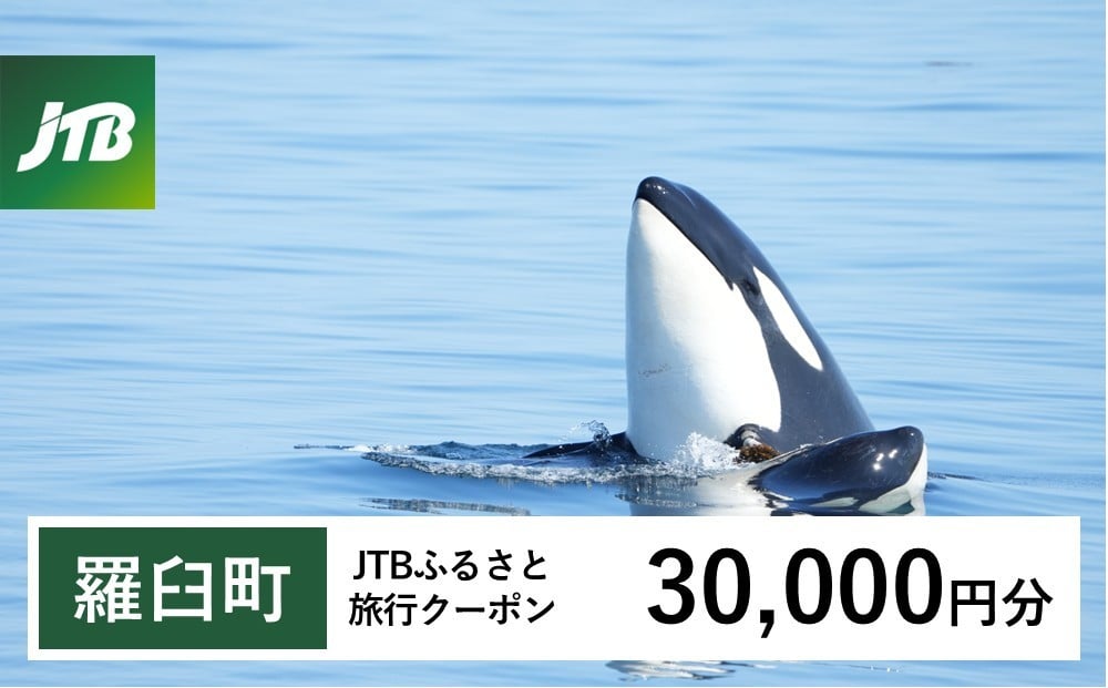 
            【羅臼町】JTBふるさと旅行クーポン（30,000円分）有効期間3年（Eメール発行）｜旅行 トラベル 予約 国内旅行 JTB 宿泊 観光 体験 旅行券 宿泊券 旅行予約  ホテル 旅館 チケット 子供 子連れ カップル 家族 人気 おすすめ 旅行クーポン 店頭 オンライン ネット予約 電話 有効期間3年
          