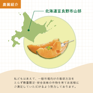 【2026年夏発送】富良野メロン 山部の絶品『鳳凰』2L 2玉 計3.6kg以上 メロン 赤肉 大玉 北海道