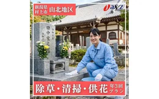 【年3回】お墓掃除代行サービス（清掃・除草・供花プラン）【対象地区：山北地区】1106012　新潟県 村上市 （株）日本アクシィーズ お墓 掃除 草刈り  お墓参り
