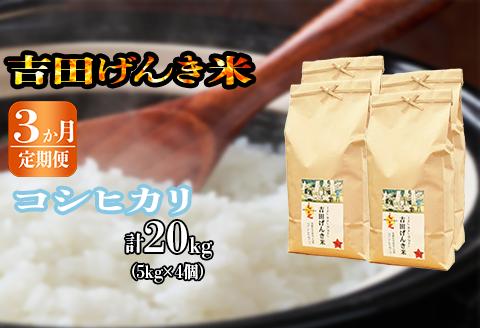 【定期便3か月連続お届け】「吉田げんき米」コシヒカリ20kg（5kg×4）