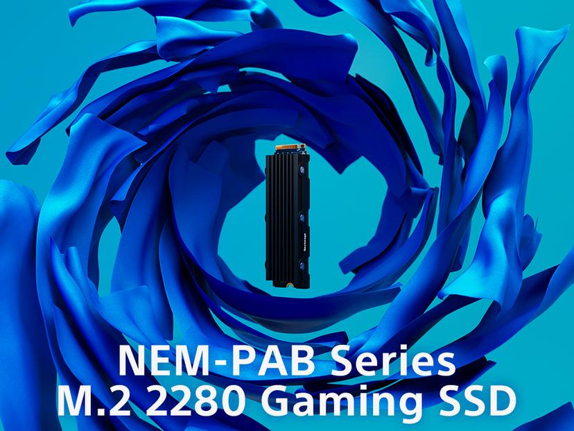 PS5用内蔵SSD 1TB