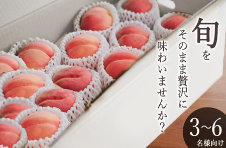 甲州市産 桃 約5kg（10～14個入）自然農法【2026年発送】（BNC）C-460 桃 フルーツ