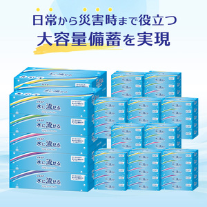 【3回｜3ヶ月ごと定期便】エルモア 水に流せるティシュー 60箱 5個×12パック ティッシュ ティッシュペーパー ボックスティッシュ 日用品 消耗品 備蓄 防災 愛媛県 四国中央市