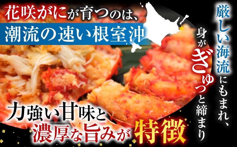 <年内配送可>【北海道根室産】花咲かに500g前後～650g前後×1尾 A-36054