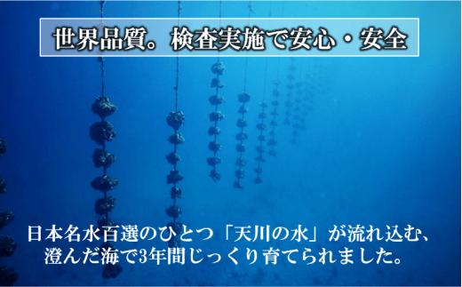 【のし付き】ブランドいわがき春香 新鮮クリーミーな高級岩牡蠣 殻付きLサイズ×16個 お歳暮に