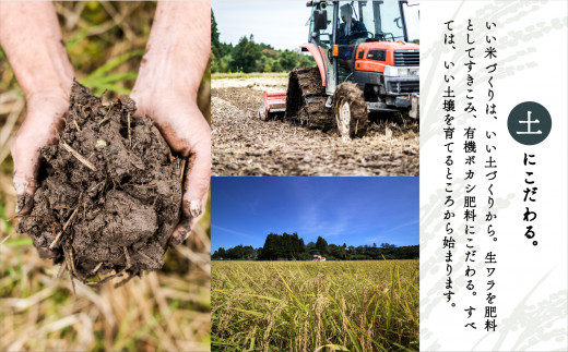 【6回定期便】 令和8年産 新米 コシヒカリ 山里清流米 【玄米】 5kg × 6回 | コシヒカリ 玄米 げんまい こめ こしひかり 石川県産 小松市産 R8年産 2026年産 石川県 小松市 ジャ