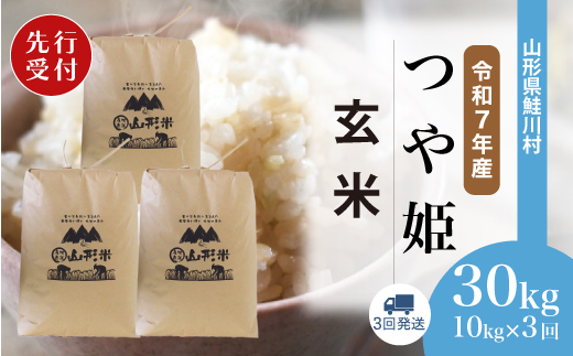 ＜令和7年産米先行受付＞ 山形県産 特別栽培米 つや姫 【玄米】30kg 定期便 (10kg×3回) 　配送時期指定できます！