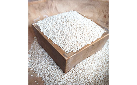 マンゲツモチ玄米（もち米）10kg　【07208-0804】