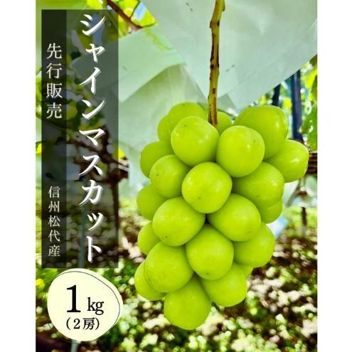 ぶどう シャインマスカット1kg 果物 信州 長野県 長野市 