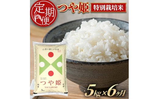 ≪6ヶ月定期便≫ 特別栽培米 つや姫 精米 5kg×6ヶ月連続 計30kg 山形県産 毎月下旬頃お届け 東北 酒田市 お米 白米 ブランド米 ごはん 連続定期便 東北食糧 HACCP TO 東北食糧　SJ0065