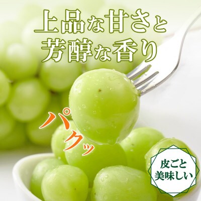 大房で食べ応え満点!「山梨県山梨市産 シャインマスカット 2房 約1kg」【配送不可地域：離島】