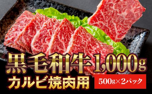 
【いわて門崎丑】黒毛和牛 焼肉用カルビ 1kg(500g×2パック) 化粧箱入り 【 高級肉 肉 ブランド牛 和牛 国産牛 ギフト お取り寄せ BBQ バーベキュー 】
