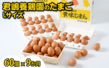【9か月定期便】君嶋養鶏園のたまご Lサイズ 60個（55個＋割れ補償5個）×9ヶ月 計540個 | 定期便 9ヶ月 9か月 9ヵ月 卵 玉子 たまご 赤卵 赤たまご 生卵 国産 濃厚 鶏卵 コク 旨味